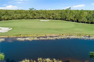 10317 Heritage Bay Blvd, Naples, FL 34120 - Photo 24