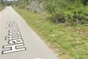 1143 Hatton Ave S, Lehigh Acres, FL 33974 - Photo 2