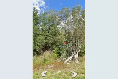 1143 Hatton Ave S, Lehigh Acres, FL 33974 - Photo 4