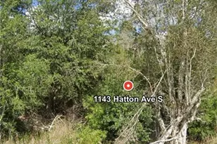 1143 Hatton Ave S, Lehigh Acres, FL 33974 - Photo 4