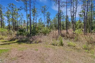 4140 31st Ave NE, Naples, FL 34120 - Photo 30