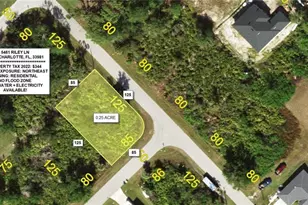 5461 Riley Ln, Port Charlotte, FL 33981 - Photo 1