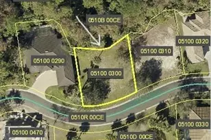 27165 Serrano Way, Bonita Springs, FL 34135 - Photo 4