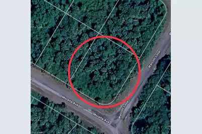 1998 Walcott Loop, Lehigh Acres, FL 33972 - Photo 2