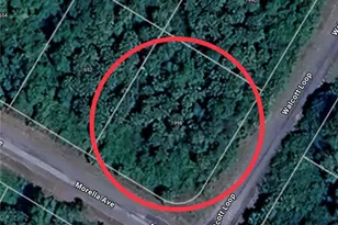 1998 Walcott Loop, Lehigh Acres, FL 33972 - Photo 2