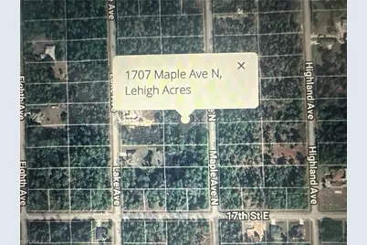 1707 Maple Ave N, Lehigh Acres, FL 33972 - Photo 2