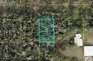 Papaya Ave, Bokeelia, FL 33922 - Photo 1