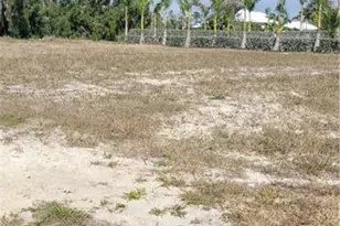 3217 NW 21st St, Cape Coral, FL 33993 - Photo 1