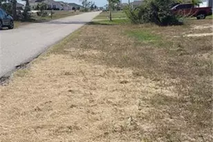 3217 NW 21st St, Cape Coral, FL 33993 - Photo 2