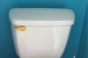 10130 Shadowood Ct, Fort Myers, FL 33905 - Photo 14