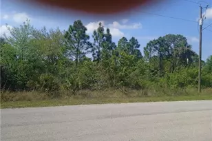 2605 Hanna Ave N, Lehigh Acres, FL 33971 - Photo 2