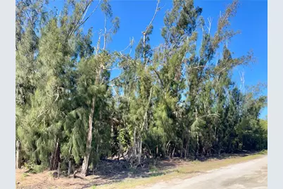 4307 Courtney Rd, Saint James City, FL 33956 - Photo 4