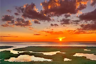 13925 Old Coast Rd, Naples, FL 34110 - Photo 2