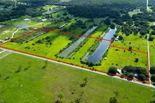 18030 Parkinson Rd, Alva, FL 33920 - Photo 4