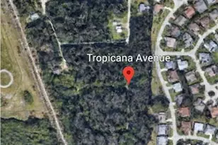 Tropicana Ave, Estero, FL 33928 - Photo 4