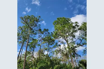 3011 2nd St NE, Naples, FL 34120 - Photo 2