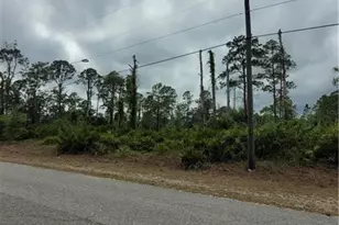 1003 Louis Ave, Lehigh Acres, FL 33392 - Photo 1