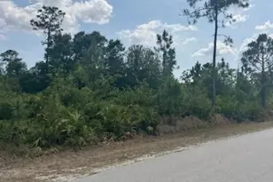 3102 East 10th Street, Lehigh Acres, FL 33972 - Photo 1