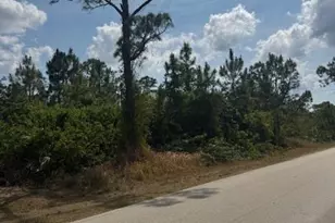 3104 East 10th Street, Lehigh Acres, FL 33972 - Photo 1