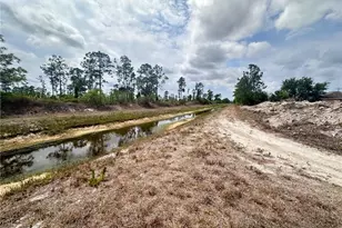 1033 Joponica Ave S, Lehigh Acres, FL 33974 - Photo 4