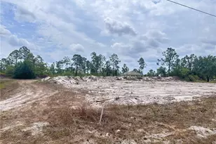 1033 Joponica Ave S, Lehigh Acres, FL 33974 - Photo 2