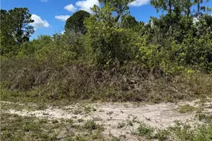 565 Aspen Ave S, Lehigh Acres, FL 33974 - Photo 12