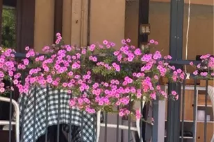 1021 3rd St S, Naples, FL 34102 - Photo 28