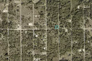 3207 East 15th Street, Lehigh Acres, FL 33972 - Photo 2