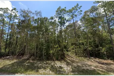 828 Glen Coy Ave, Lehigh Acres, FL 33974 - Photo 1