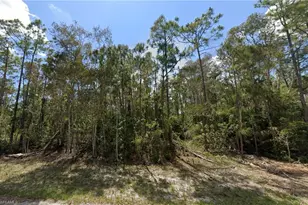 828 Glen Coy Ave, Lehigh Acres, FL 33974 - Photo 1