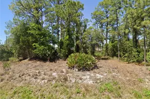 2442 Mae Ave S, Lehigh Acres, FL 33973 - Photo 1