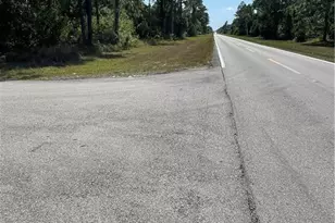 119 Fox Ave S, Lehigh Acres, FL 33974 - Photo 6