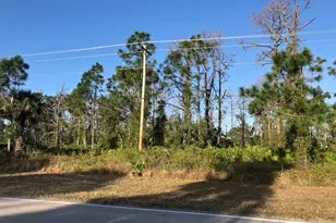 458 Columbus Blvd S, Lehigh Acres, FL 33974 - Photo 2