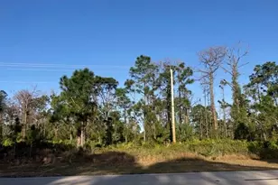 458 Columbus Blvd S, Lehigh Acres, FL 33974 - Photo 4