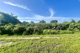 12960 Foresman Blvd, Port Charlotte, FL 33981 - Photo 1