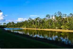 10198 Via Colomba Circle, Fort Myers, FL 33966 - Photo 12