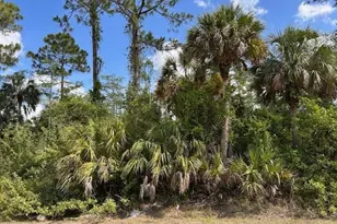 27Xx 18th Ave NE, Naples, FL 34120 - Photo 4