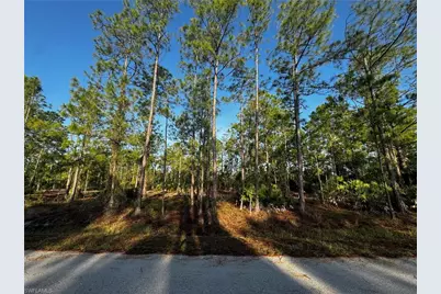 1221 Canton Ave, Lehigh Acres, FL 33972 - Photo 2