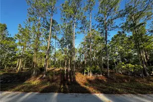 1221 Canton Ave, Lehigh Acres, FL 33972 - Photo 2