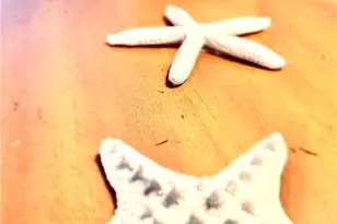 930 Marble Dr, Naples, FL 34104 - Photo 30