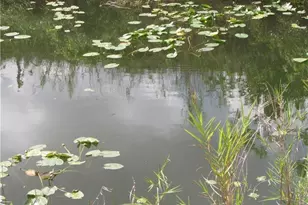 4410 Connection Ave, Cape Coral, FL 33909 - Photo 4