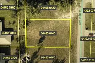 1010 SW 15th Pl, Cape Coral, FL 33991 - Photo 2