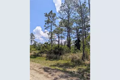 249 Andalucia Ave S, Lehigh Acres, FL 33974 - Photo 2