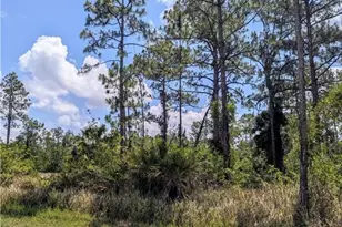 249 Andalucia Ave S, Lehigh Acres, FL 33974 - Photo 2