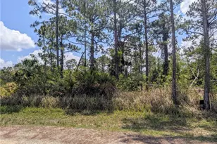 249 Andalucia Ave S, Lehigh Acres, FL 33974 - Photo 1