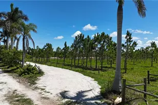 6455 Stringfellow Rd, Saint James City, FL 33956 - Photo 2