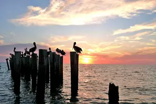 [Address not provided], Naples, FL 34112 - Photo 22