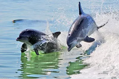 [Address not provided], Naples, FL 34112 - Photo 24