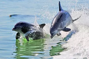 [Address not provided], Naples, FL 34112 - Photo 24