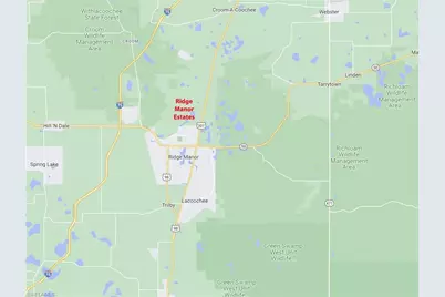 7406 Southeast Ave, Ridge Manor Estates, FL 33597 - Photo 6